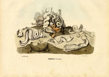 Escargots de mer, 1863-79